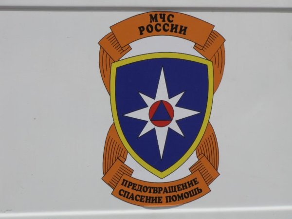 Значок МЧС на машину спереди