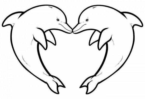 Раскраска "дельфины"