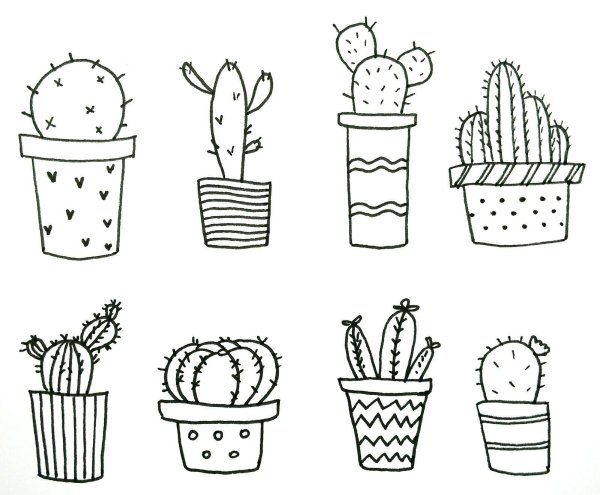 Кактус рисунок