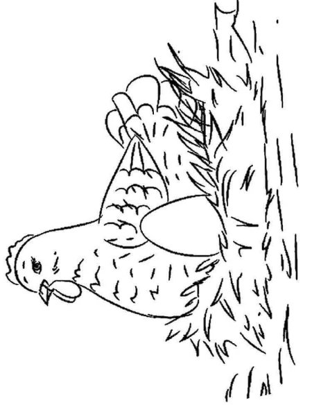 Раскраска к сказке Курочка Ряба для малышей