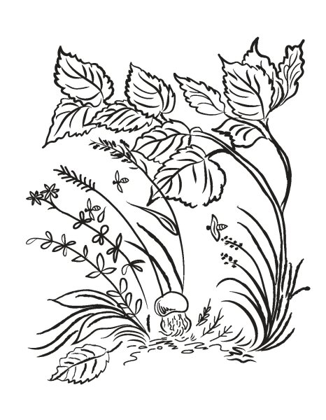 Сутеев под грибом раскраска