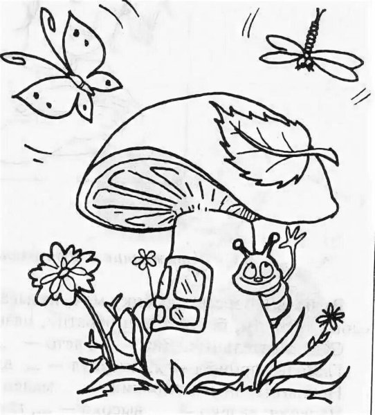 Домик грибок раскраска