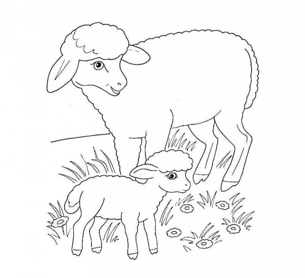 Коза раскраска