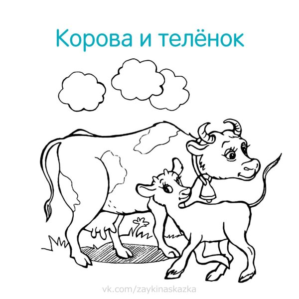 Животные и их Детёныши для детей задания