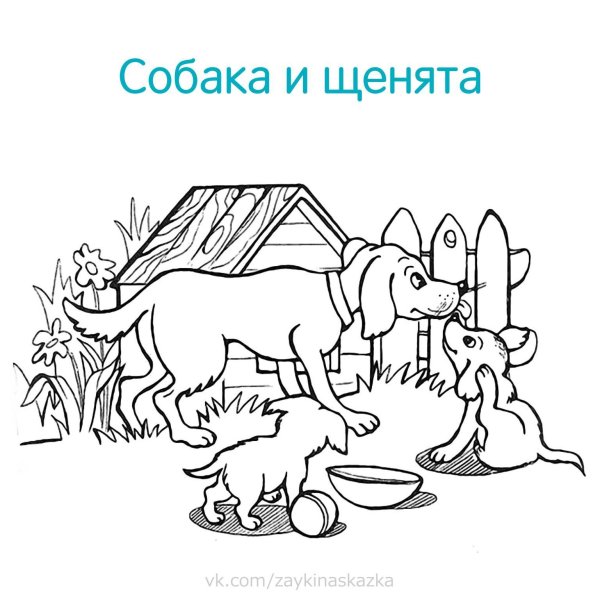 Раскраска домашние животные кролик