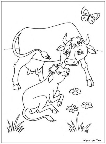 Раскраска львица