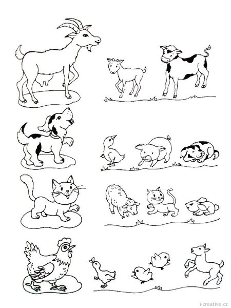 Кенгуру раскраска