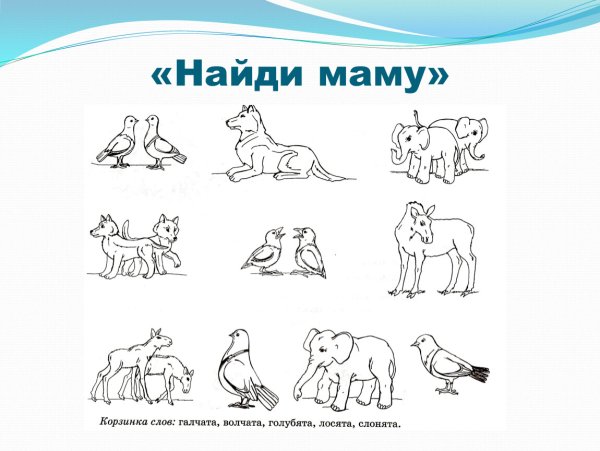 Детеныши животных. Раскраска