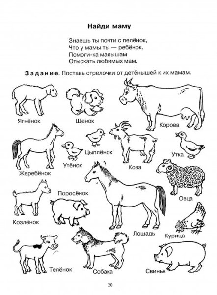 Животные весной раскраска для детей