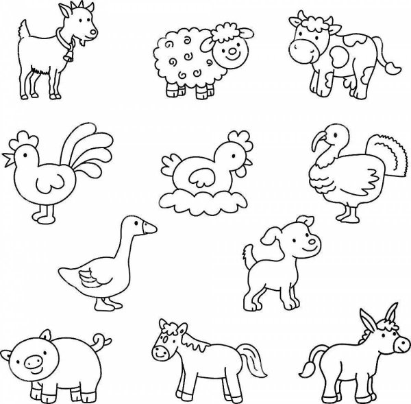 Домашние животные черно белые