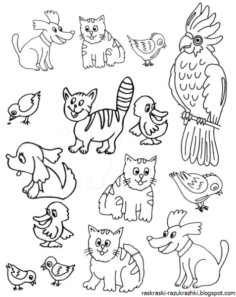 Раскраски животные для детей 3-4