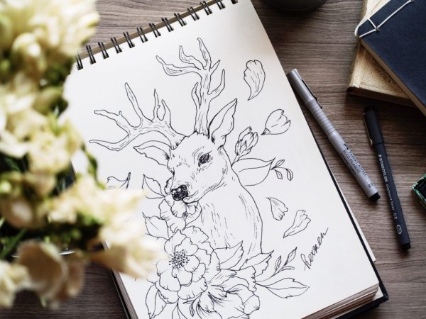 Скетчбук для раскрашивания