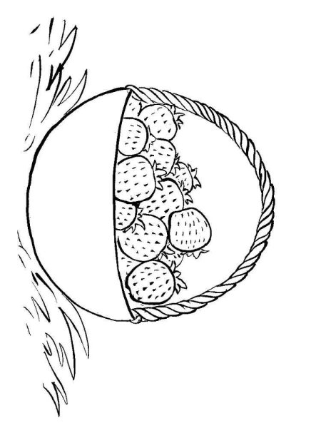 Корзина с шишками раскраска