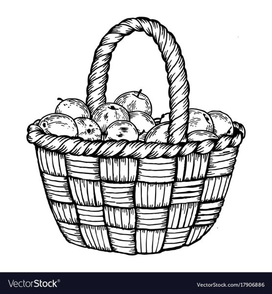 Корзина с фруктами рисунок