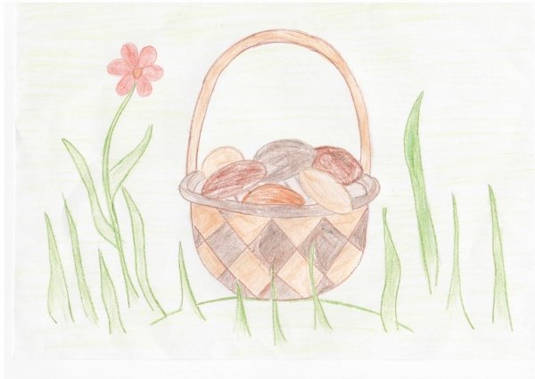 Корзина с еловыми шишками Паустовский рисунок