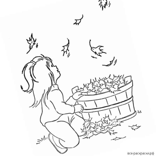 Корзина с еловыми шишками раскраска