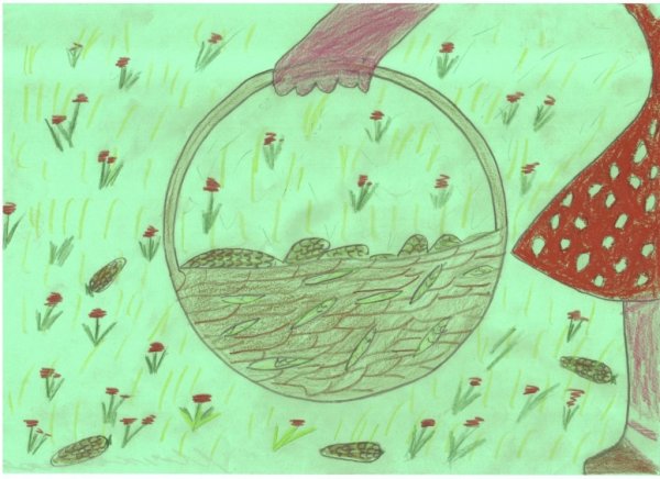 Корзина с еловыми шишками рисунок карандашом