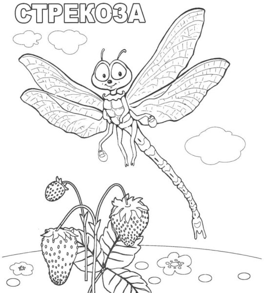 Стрекоза и муравей раскраска