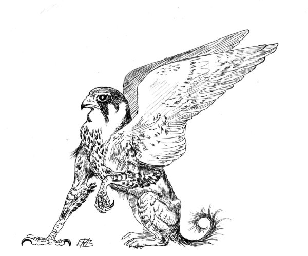 Финист Сокол