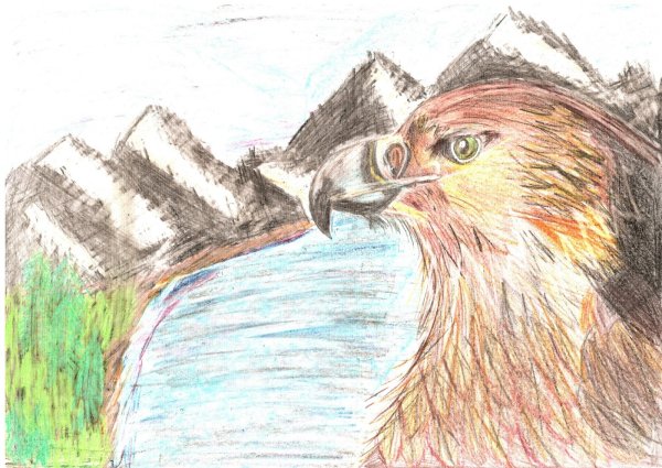 Иллюстрация Финиста ясна Сокола