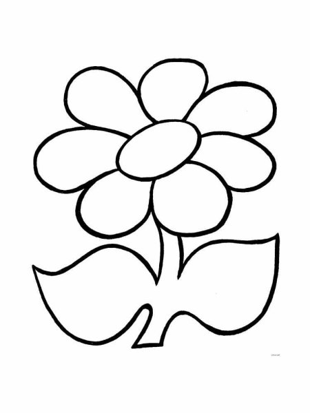 Цветочек раскраска для малышей