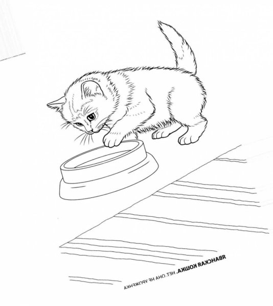 Толстой котенок раскраска