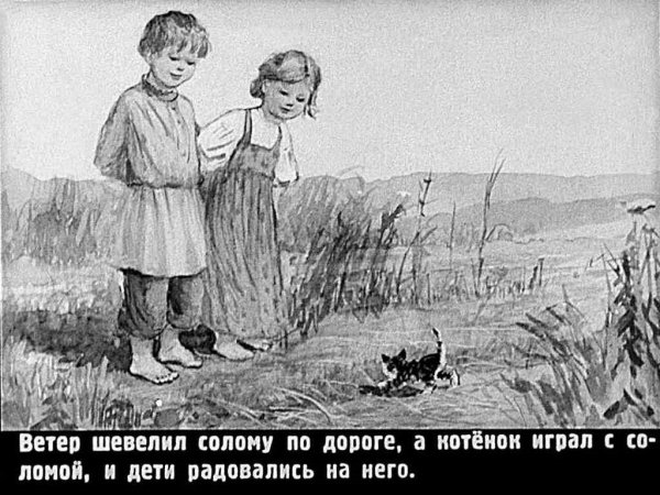 Толстой котенок иллюстрации к рассказу