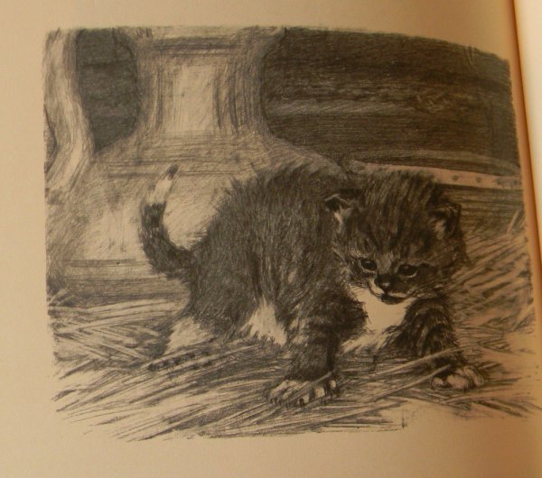 Иллюстрации к рассказу котенок л.Толстого