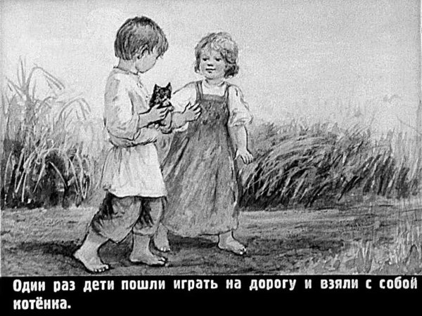 Л Н толстой котенок иллюстрации к рассказу