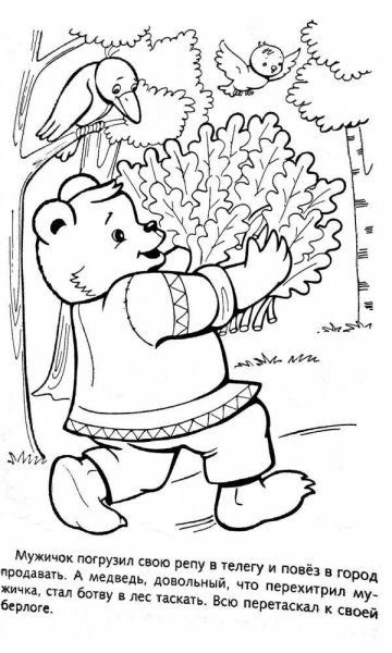 Вершки и корешки раскраска