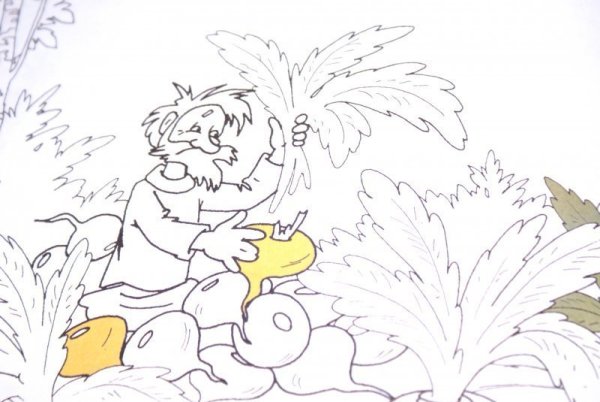 Вершки и корешки раскраска