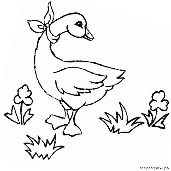 Братья Гримм золотой Гусь раскраска