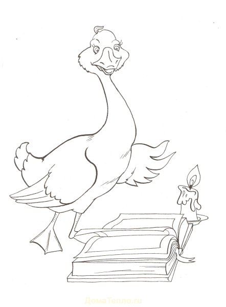 Гауф карлик нос раскраска