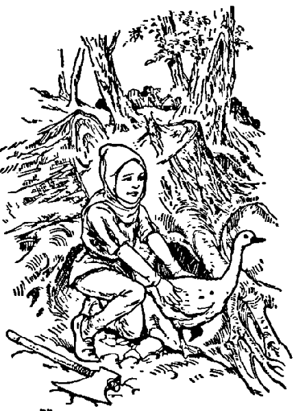 Братья Гримм золотой Гусь