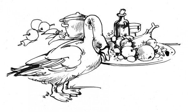 Братья Гримм золотой Гусь раскраска