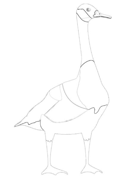 Золотой Гусь рисунок