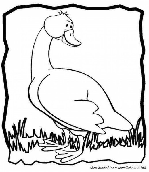 Братья Гримм золотой Гусь раскраска