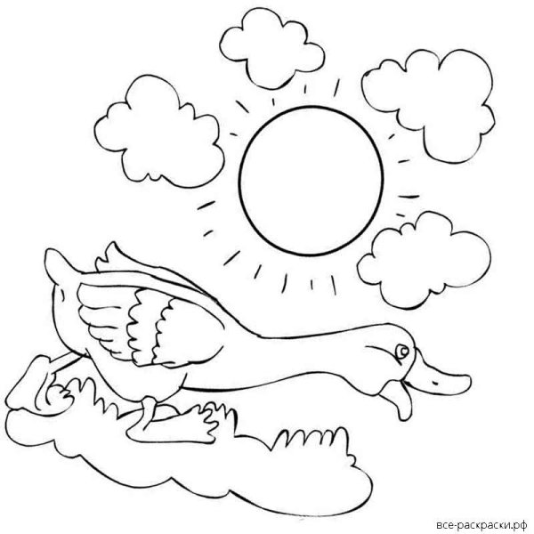 Золотой Гусь раскраска