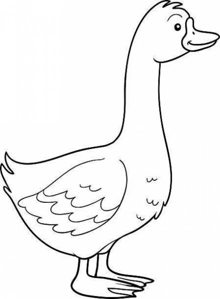 Гусенок раскраска для детей
