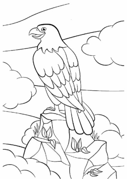 Финист Ясный Сокол раскраска для детей