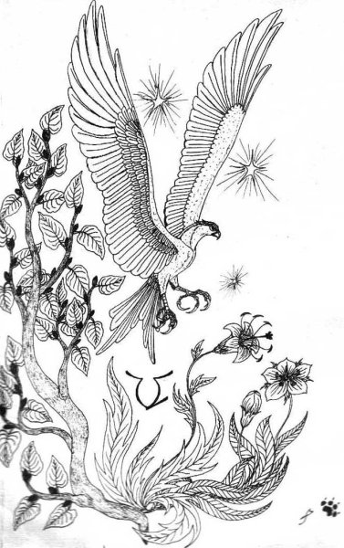 Рисование перо Финиста