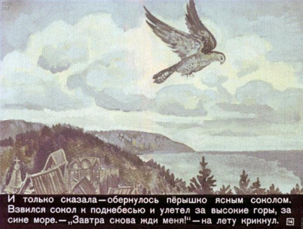 Перо Финиста ясна Сокола рисунок