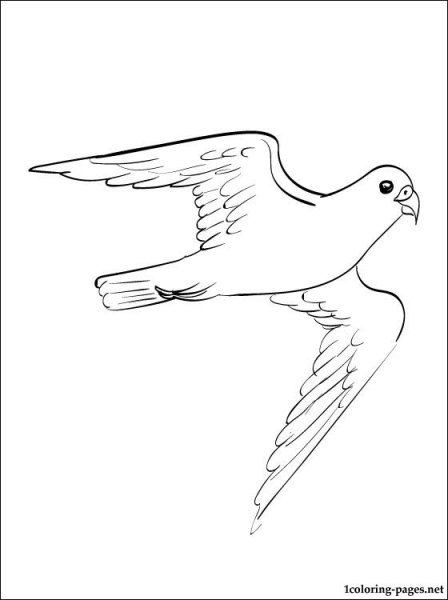 Раскраска Финист Ясный Сокол раскраска