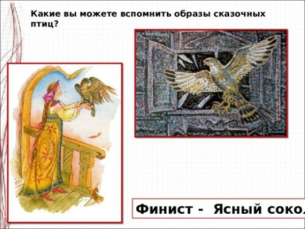 Как выглядит птица Финист-Ясный Сокол фото и описание
