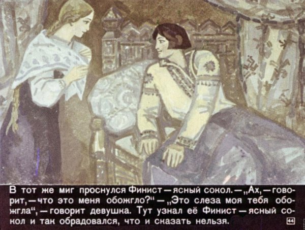 Финист Ясный Сокол сказка иллюстрации к сказке