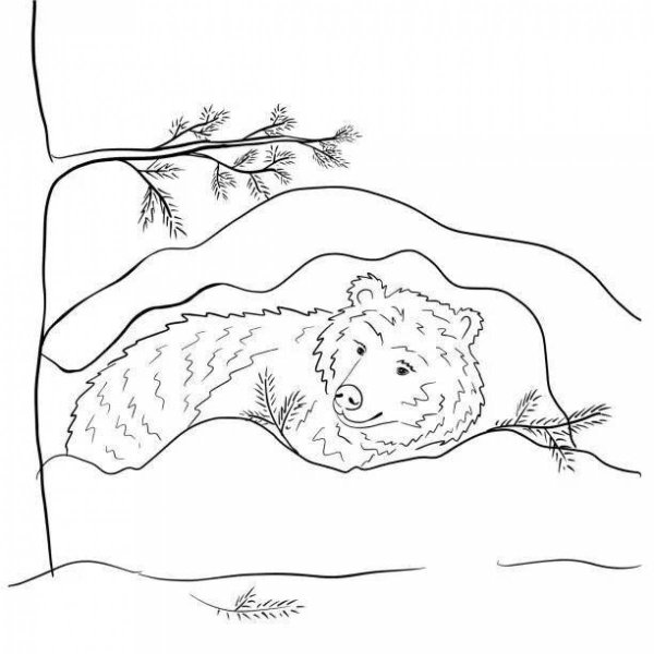 Раскраска медведь спит в берлоге для детей
