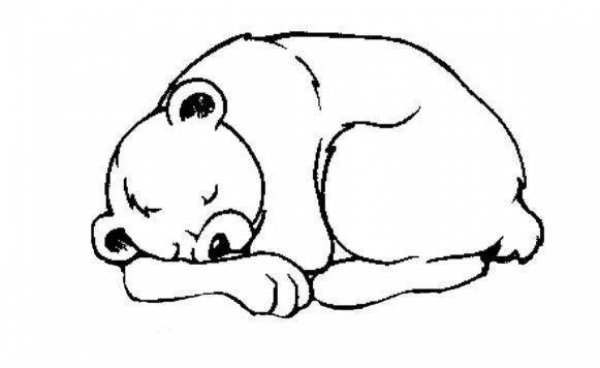 Спящий медведь раскраска для детей