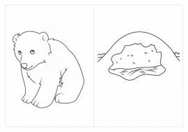 Медведь в берлоге раскраска