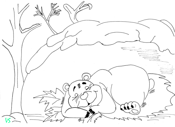 Медведь зимой раскраска