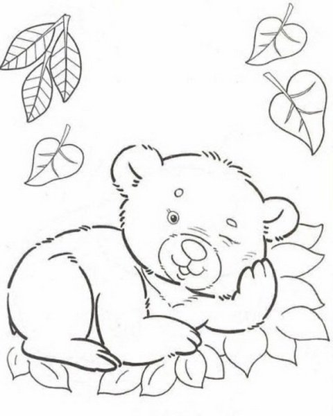 Раскраска Медвежонок в лесу